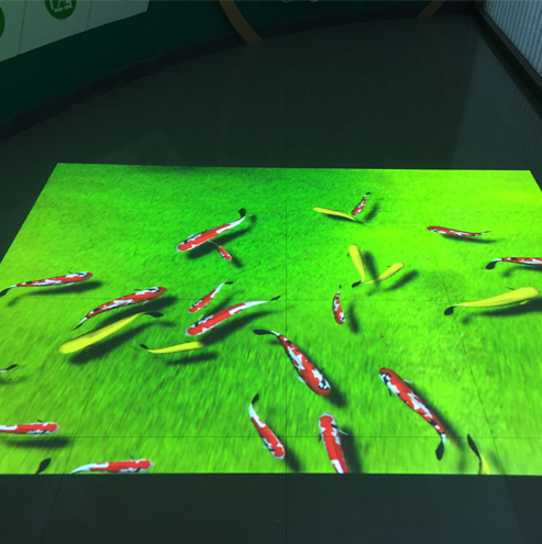 魚(yú)水互動(dòng)